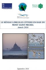 Bilan : Le réseau limicoles cotiers en Baie du Mont-Saint-Michel - Année 2016