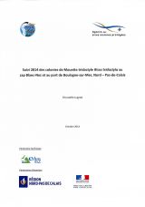 Bilan : Suivi 2014 des colonies de Mouette tridactyle au cap Blanc-Nez et au port de Boulogne-sur-Mer, Nord - Pas-de-Calais