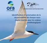 Méthodologie : Identification et priorisation de la responsabilité de chaque sous-région marine pour les enjeux ornithologiques