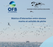 Méthodologie : Matrice d'interaction entre oiseaux marins et activités de pêche