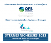 Bilan : Suivi 2022 de la reproduction des sternes nicheuses dans les sous-régions marines Manche - Mer du Nord, Mer celtique et Golfe de Gascogne
