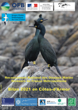 Bilan : Suivi 2021 des oiseaux marins nicheurs en Cotes-d'Armor