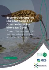 Bilan des campagnes réalisées en Baie de Canche durant les hivers 2019 à 2021 - Zones d'alimentation des limicoles côtiers et activités humaines de l'estran