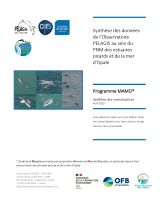 Synthèse des données de l'Observatoire PELAGIS au sein du PNM des estuaires picards et de la mer d'Opale - Programme MAMO