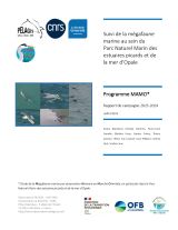 Suivi de la mégafaune marine au sein du Parc Naturel Marin des estuaires picards et de la mer d'Opale - programme MAMO - rapport de campagne 2023-2024