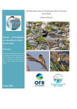 Amélioration des connaissances dans l'estuaire de la Slack Volet avifaune