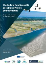 Etude de la fonctionnalité de la baie d'Authie pour l'avifaune - analyse de la campagne 2023-2024
