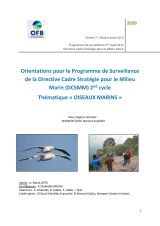 Rapport : Orientations pour le Programme de Surveillance de la Directive Cadre Stratégie pour le Milieu Marin (DCSMM) 2nd cycle, Thématique " OISEAUX MARINS "