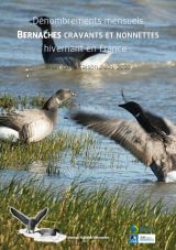 Bilan : Dénombrements mensuels des bernaches hivernantes en France - saison 2021-2022