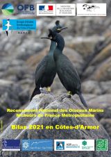 Synthèse : Bilan 2021 en Côtes-d'Armor, Recensement National des Oiseaux Marins Nicheurs de France Métropolitaine