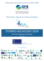 Bilan : Suivi 2024 de la reproduction des sternes nicheuses du littoral Manche et Atlantique