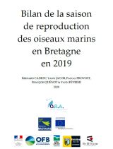 Bilan : Saison de reproduction des oiseaux marins en Bretagne en 2019
