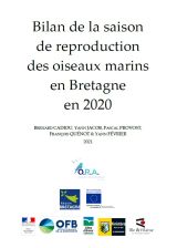 Bilan : Saison de reproduction des oiseaux marins en Bretagne en 2020