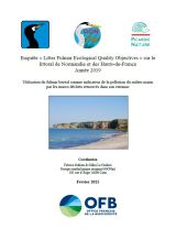 Enquête : " Litter Fulmar Ecological Quality Objectives " sur le littoral de Normandie et des Hauts-de-France Année 2019