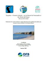 Enquêtes : " Oiseaux échoués " sur le littoral de Normandie et des Hauts-de-France Hiver 2019-2020