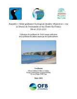 Enquête : " Oiled guillemot Ecological Quality Objectives " sur le littoral de Normandie et des Hauts-de-France Hiver 2020-2021