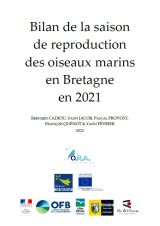 Bilan : Saison de reproduction des oiseaux marins en Bretagne en 2021