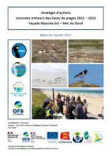 Bilan : Stratégie d'actions Limicoles nicheurs des hauts de plages 2021 - 2022 Façade Manche Est - Mer du Nord