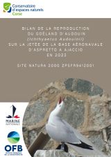 Bilan : Suivi 2023 de la reproduction du goéland d'audouin (ichthyaetus audouinii) Sur la jetée de la base aéronavale d'aspretto à Ajaccio