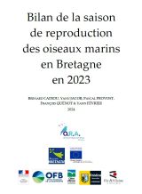 Bilan : Saison de reproduction des oiseaux marins en Bretagne en 2023