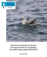 Bilan : Suivi 2024 de la production en jeunes du Fulmar boréal sur les falaises de la ZPS Trégor-Goëlo FR5310070