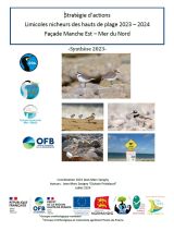 Synthèse : Stratégie d'actions Limicoles nicheurs des hauts de plage 2023 - 2024 Façade Manche Est - Mer du Nord