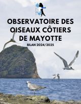 Bilan : Observatoire des Oiseaux Côtiers de Mayotte 2024-2025