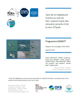 Rapport : Suivi de la mégafaune marine au sein du Parc Naturel Marin des estuaires picards et de la mer d'Opale - programme MAMO - rapport de campagne 2023-2025
