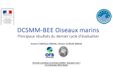 Présentation : DCSMM-BEE Oiseaux marins Principaux résultats du dernier cycle d'évaluation