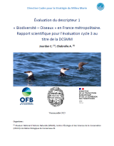 Rapport : Évaluation du descripteur 1 " Biodiversité - Oiseaux " en France métropolitaine -  cycle 3  DCSMM