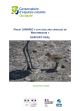 Rapport : Projet LARIMED " Suivi des LARO-LIMICOLES de Méditéranée " 