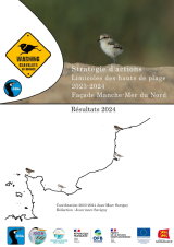 Rapport : Stratégie d'action Limicoles des hautes de plage 2023 - 2024, résultats 2024