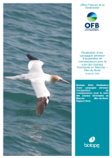 Rapport : Réalisation d'une campagne aérienne d'acquisition de connaissances pour le suivi des oiseaux hivernants en Manche - Mer-du-Nord