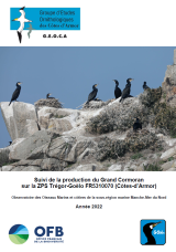 Synthèse : Suivi de la production du Grand Cormoran sur la ZPS Trégor-Goëlo - Année 2022