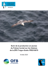 Bilan : Suivi de la production du Fulmar boréal sur les falaises de la ZPS Trégor-Goëlo - Année 2023
