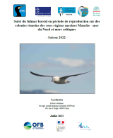 Bilan : Suivi du fulmar boréal en période de reproduction sur des colonies témoins des sous-régions marines Manche - mer du Nord et mers celtiques - saison 2022