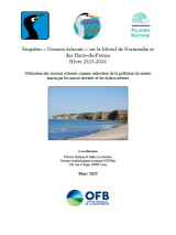 Enquêtes : " Oiseaux échoués " sur le littoral de Normandie et des Hauts-de-France Hiver 2023-2024