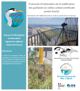 Protocole : Estimation de la nidification des goélands en milieu urbain (méthode points hauts)